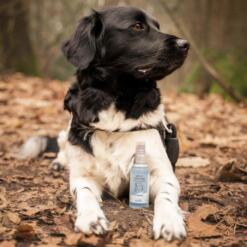 Hondenparfum Greenfields