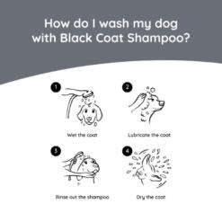 Hondenshampoo Black Coat