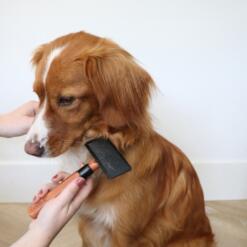 Japandi Slickerborstel 17 Japandi Slickerborstel