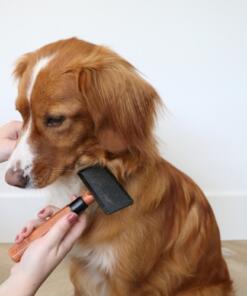 Japandi Slickerborstel 17 Japandi Slickerborstel