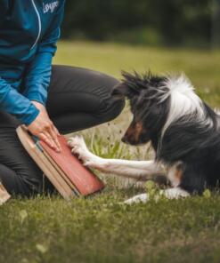Mani-Pedi dog Scratcher 42 Mani-Pedi dog Scratcher