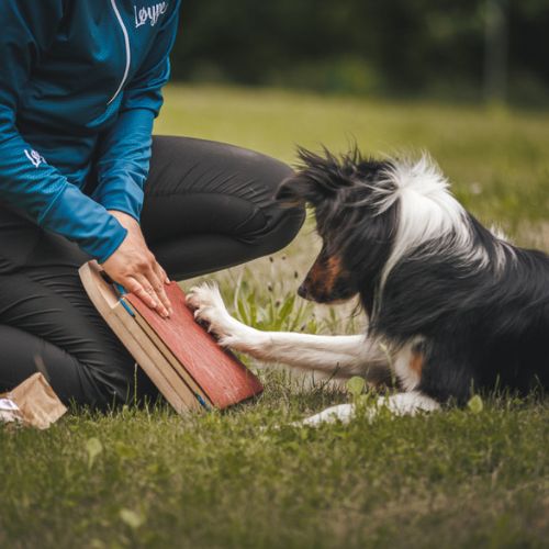 Mani-Pedi dog Scratcher 18 Mani-Pedi dog Scratcher