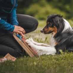 Mani-Pedi dog Scratcher