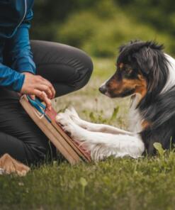 Mani-Pedi dog Scratcher 41 Mani-Pedi dog Scratcher