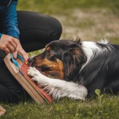 Mani-Pedi dog Scratcher