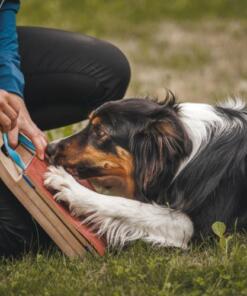 Mani-Pedi dog Scratcher 34 Mani-Pedi dog Scratcher