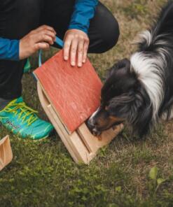 Mani-Pedi dog Scratcher 35 Mani-Pedi dog Scratcher