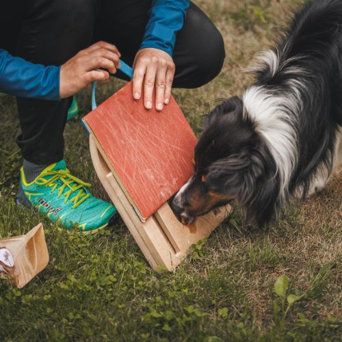 Mani-Pedi dog Scratcher 11 Mani-Pedi dog Scratcher