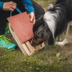 Mani-Pedi dog Scratcher