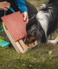Mani-Pedi dog Scratcher 36 Mani-Pedi dog Scratcher