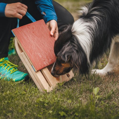 Mani-Pedi dog Scratcher 12 Mani-Pedi dog Scratcher