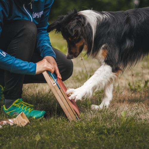Mani-Pedi dog Scratcher 13 Mani-Pedi dog Scratcher