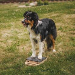 Mani-Pedi dog Scratcher