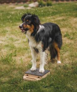 Mani-Pedi dog Scratcher 38 Mani-Pedi dog Scratcher