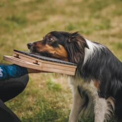 Mani-Pedi dog Scratcher