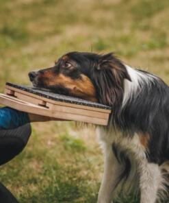 Mani-Pedi dog Scratcher 47 Mani-Pedi dog Scratcher