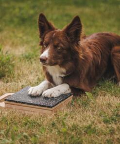 Mani-Pedi dog Scratcher 49 Mani-Pedi dog Scratcher