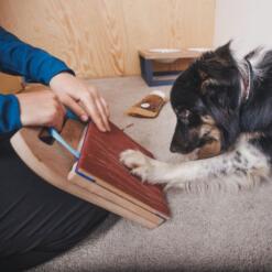 Mani-Pedi dog Scratcher