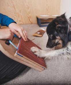 Mani-Pedi dog Scratcher 32 Mani-Pedi dog Scratcher