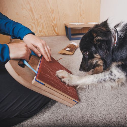 Mani-Pedi dog Scratcher 8 Mani-Pedi dog Scratcher