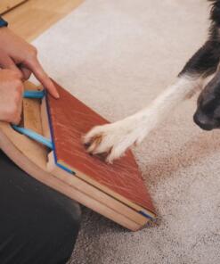 Mani-Pedi dog Scratcher 33 Mani-Pedi dog Scratcher