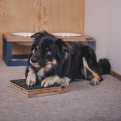 Mani-Pedi dog Scratcher