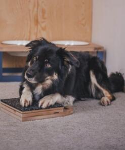 Mani-Pedi dog Scratcher 44 Mani-Pedi dog Scratcher