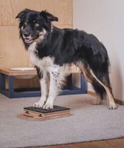 Mani-Pedi dog Scratcher 43 Mani-Pedi dog Scratcher