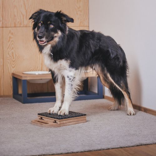 Mani-Pedi dog Scratcher 19 Mani-Pedi dog Scratcher