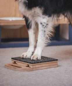 Mani-Pedi dog Scratcher 30 Mani-Pedi dog Scratcher