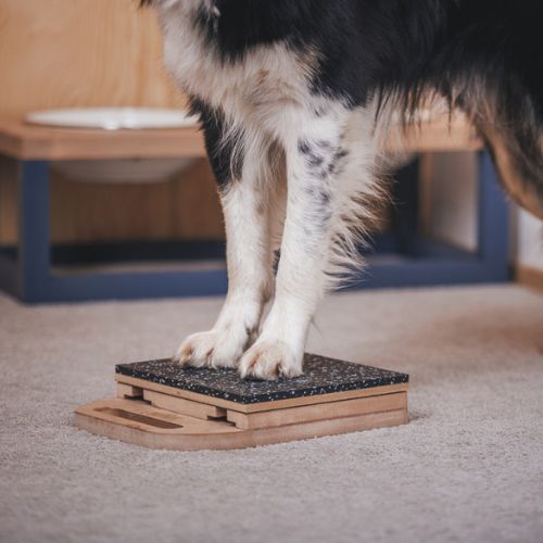 Mani-Pedi dog Scratcher 6 Mani-Pedi dog Scratcher