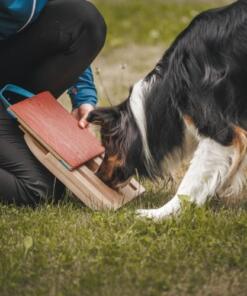 Mani-Pedi dog Scratcher 29 Mani-Pedi dog Scratcher