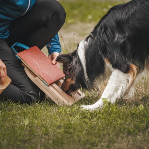 Mani-Pedi dog Scratcher 5 Mani-Pedi dog Scratcher