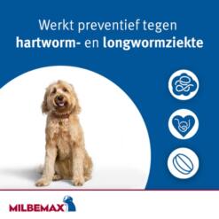 Milbemax Hond