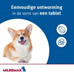 Milbemax Hond