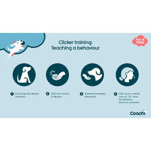 Multi Clicker 8 Multi Clicker