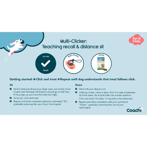 Multi Clicker 10 Multi Clicker