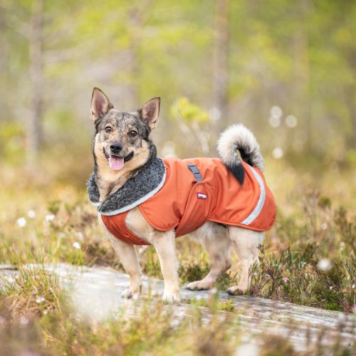 PerusPomppa met Tuigopening 3 PerusPomppa Rust