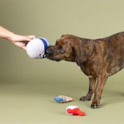 Set Fresh Coat Of Fun