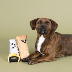 Set I Saw That 8 Set I saw that