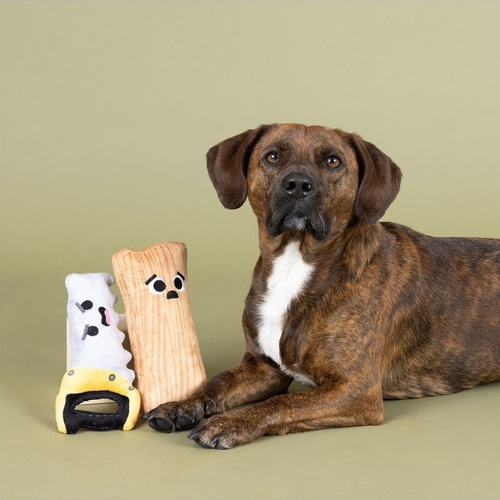 Set I Saw That 5 Set I saw that