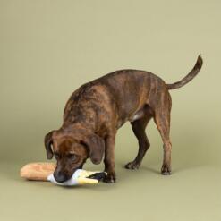 Set I Saw That 9 Set I saw that