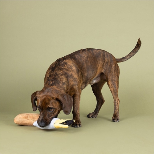 Set I Saw That 6 Set I saw that