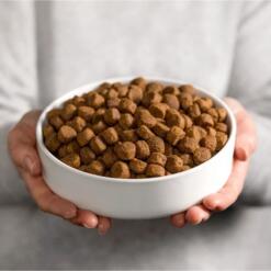 Kom vol Smølke Grain Free brokjes graanvrij droogvoer