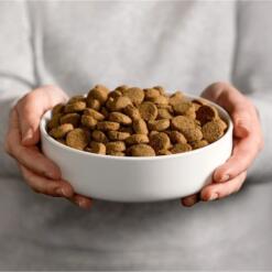 Smølke Hond Senior Maxi