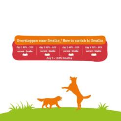 Smølke Hond senior mini