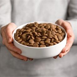 Smølke Sensitive Duck