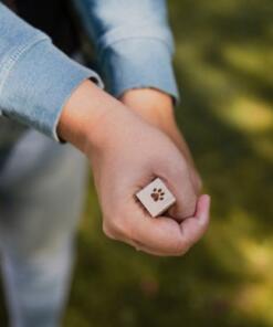 Sniffing Sticks Set - Geurstokjes 13 Sniffing Sticks Set - Geurstokjes