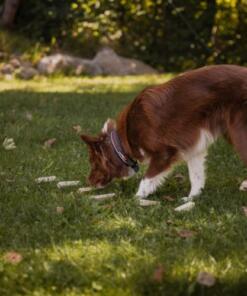 Sniffing Sticks Set - Geurstokjes 14 Sniffing Sticks Set - Geurstokjes