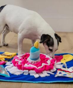 Snuffelmat Celebration